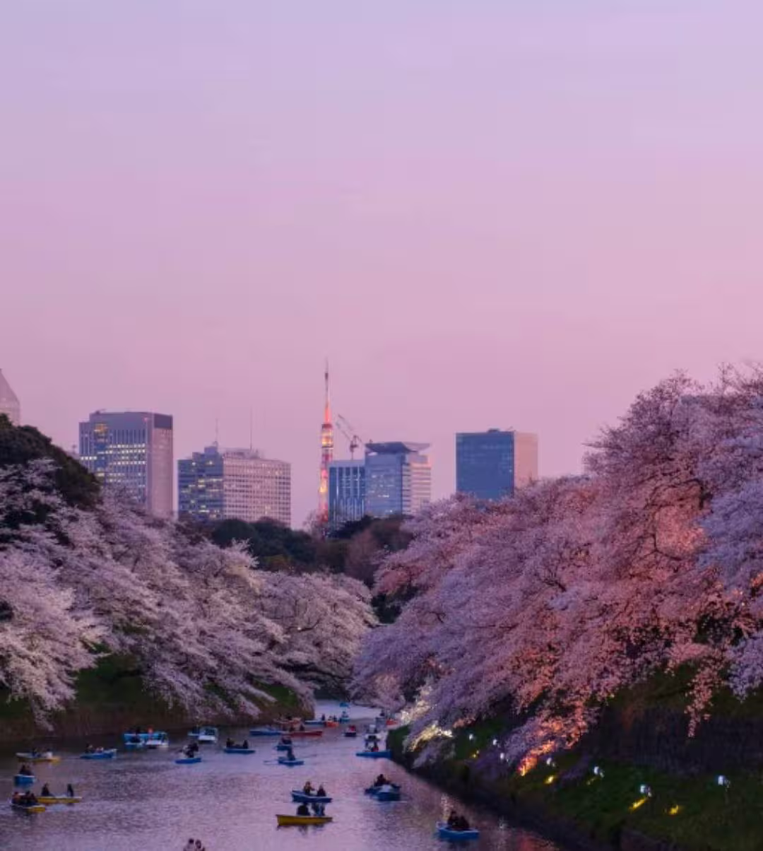 (Не)детский Петербург